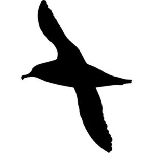 The Albatross | Title Sponsor