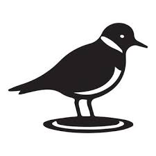 The Birdie | Hole Sponsor